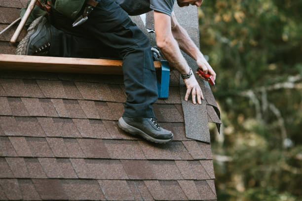 Roof Gutter Cleaning in Palm Coast, FL