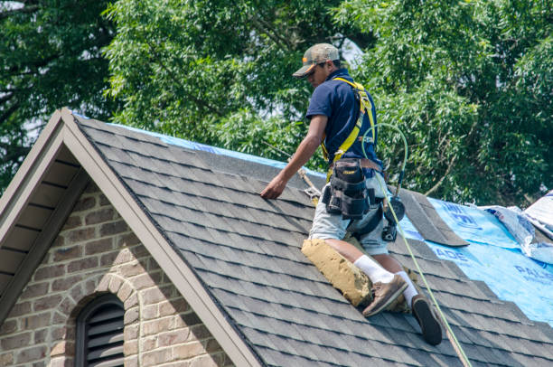 Quick and Trustworthy Emergency Roof Repair Services in Palm Coast, FL
